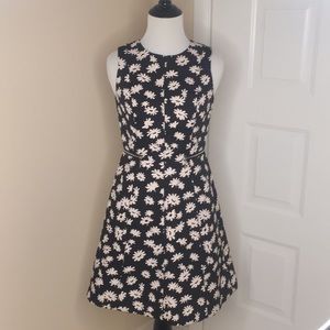 Ann Taylor Floral Zipper Fit & Flare Dress